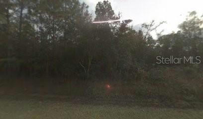 4245 FLORENCE ST, HASTINGS, FL 32145, photo 1