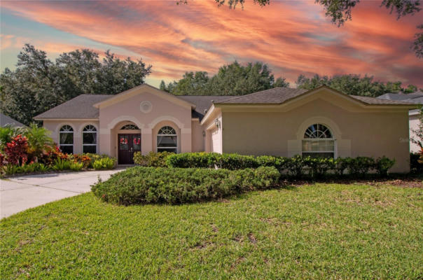 10221 TIMBERLAND POINT DR, TAMPA, FL 33647 - Image 1