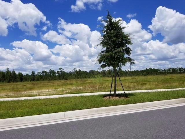 S APOPKA VINELAND RD, ORLANDO, FL 32821, photo 1 of 2