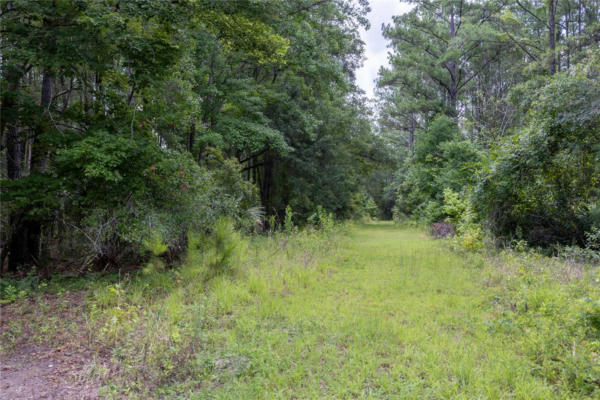 TBA SW 114TH LANE, MICANOPY, FL 32667 - Image 1