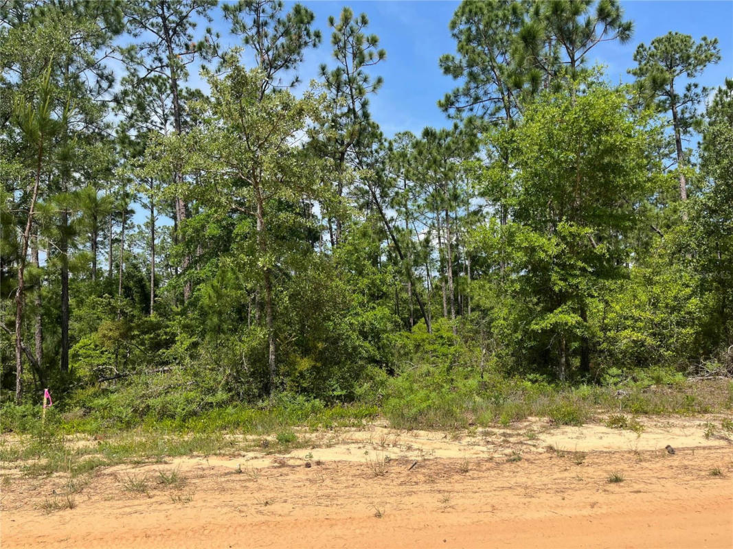 HOLLY SPRINGS AVE, ALFORD, FL 32420, photo 1 of 15