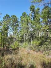 SALYERS RD, CLERMONT, FL 34714, photo 4 of 6