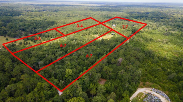 TBA SW 114TH LANE, MICANOPY, FL 32667 - Image 1