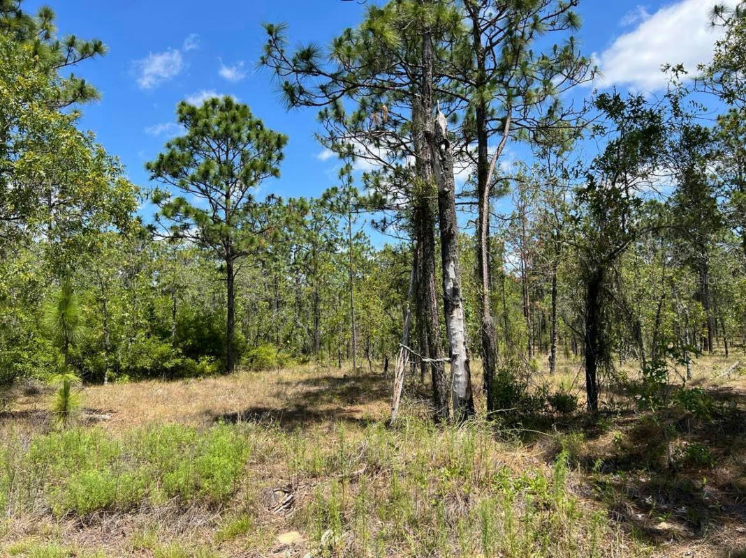NW AMBERJACK AVE #LOT #33, DUNNELLON, FL 34431, photo 1 of 10