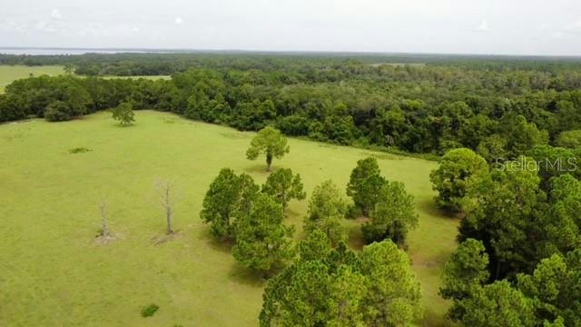 37731 STATE ROAD 19, UMATILLA, FL 32784, photo 1 of 18