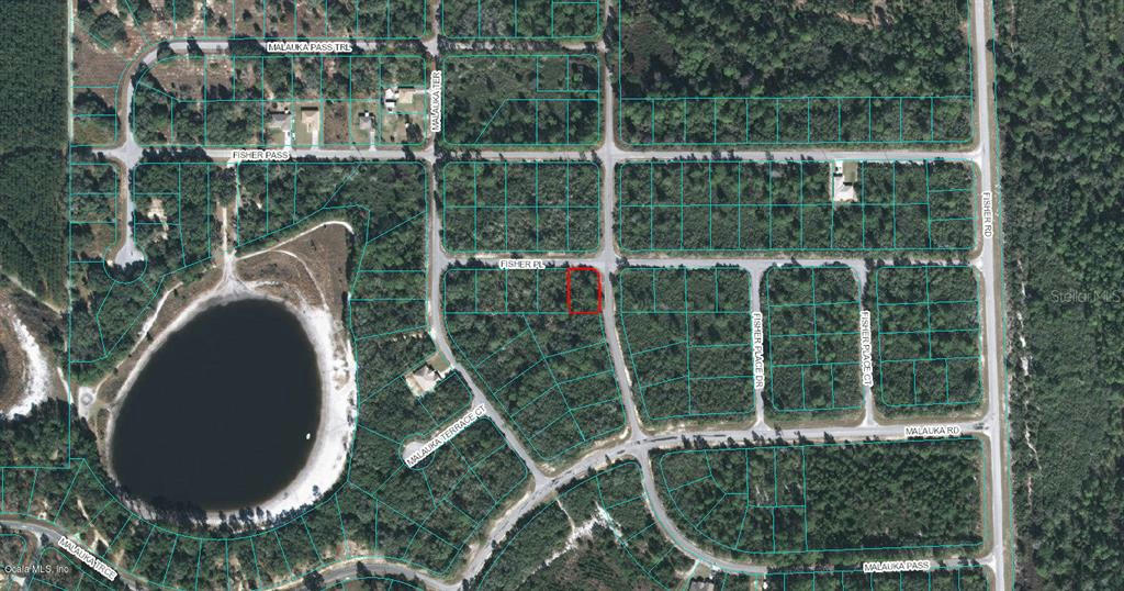 00 FISHER PLACE, OCKLAWAHA, FL 32179, photo 1