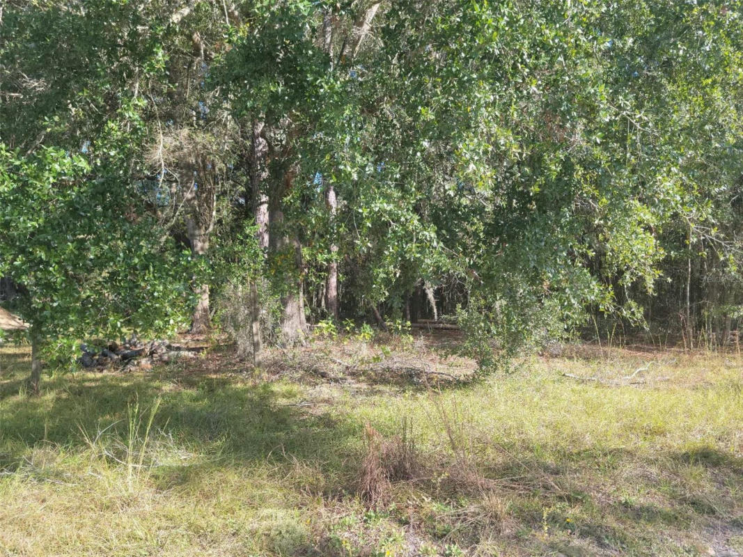 SW 61ST PL, NEWBERRY, FL 32669, photo 1 of 2