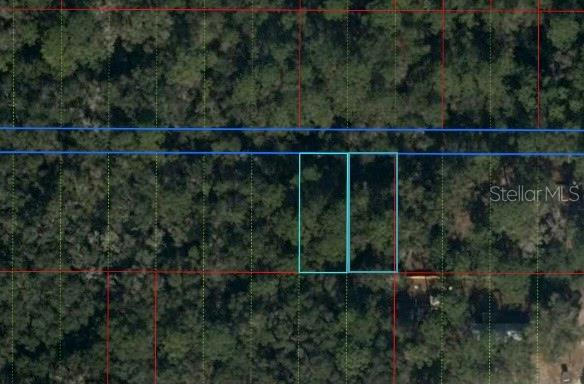 LOT 22 & 23 NW 57 PLACE, CHIEFLAND, FL 32626, photo 1