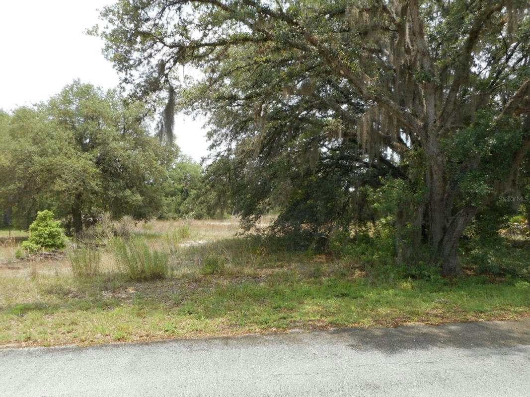 LOT 12 SW SOUTH LAKES COURT, DUNNELLON, FL 34431, photo 1 of 3