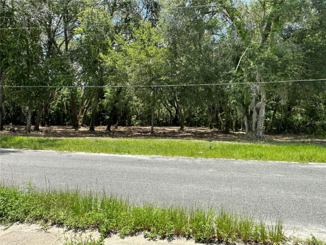 00 SE 134TH AVE ROAD, WEIRSDALE, FL 32195, photo 1 of 4
