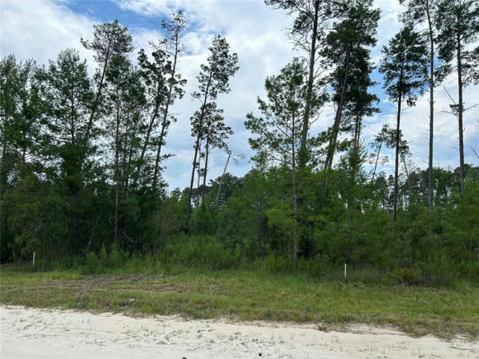 TBD SE 58TH LANE, MORRISTON, FL 32668 - Image 1