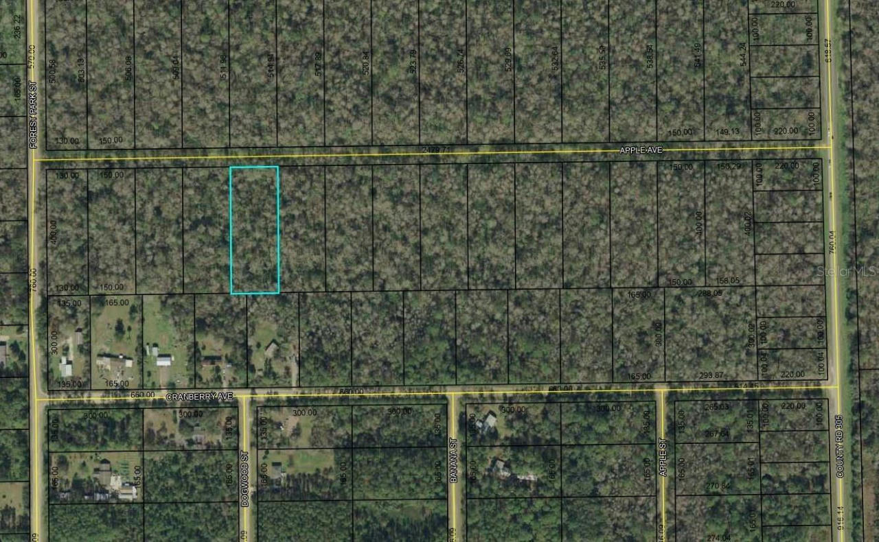3823 APPLE AVE, BUNNELL, FL 32110, photo 1 of 2