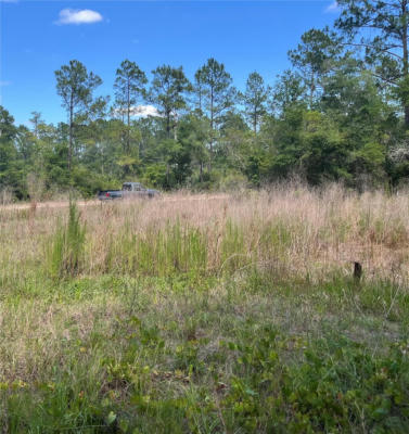 307 MALLARD RD, SATSUMA, FL 32189 - Image 1