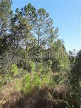 SALYERS RD, CLERMONT, FL 34714, photo 3 of 6