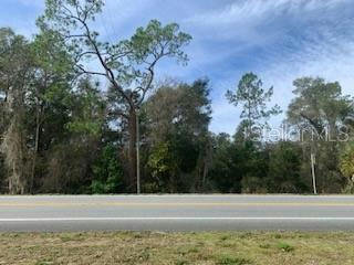 3385,3377,3369 MCKETHAN ROAD, DADE CITY, FL 33523, photo 1 of 2
