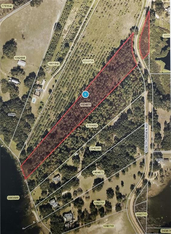 S OBRIEN RD, GROVELAND, FL 34736, photo 1 of 5