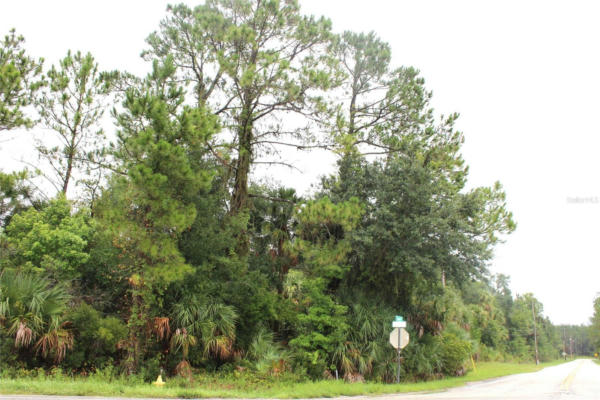 W STATE ROAD 40, PIERSON, FL 32180 - Image 1