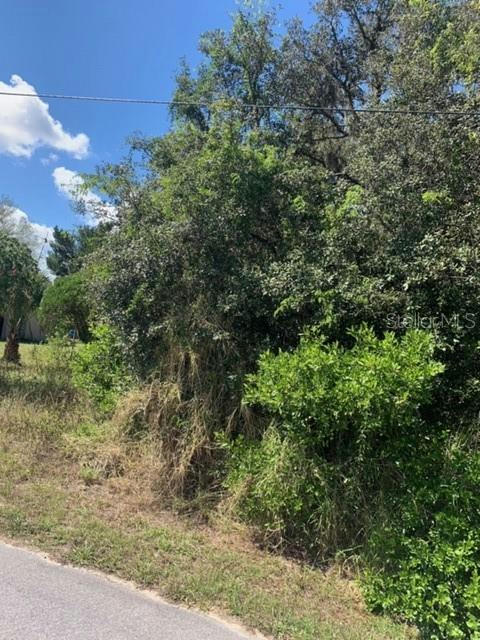 MYRTLE AVE, LAKE WALES, FL 33898, photo 1 of 6
