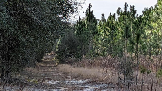 40 AC OFF DIXIE (NE 30TH ST.) HIGHWAY, HIGH SPRINGS, FL 32643, photo 3 of 4