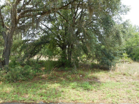 LOT 12 SW SOUTH LAKES COURT, DUNNELLON, FL 34431, photo 2 of 3