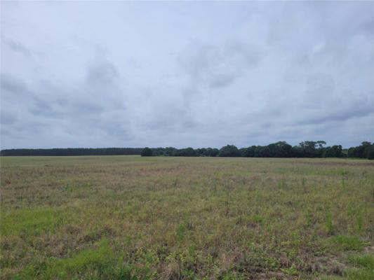PINE ISLAND RD, CLERMONT, FL 34711, photo 3 of 6