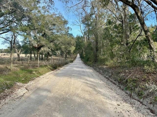 NW 85TH ST, BELL, FL 32619, photo 1 of 15