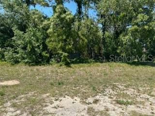 13393 LAWRENCE ST, SPRING HILL, FL 34609, photo 4 of 6
