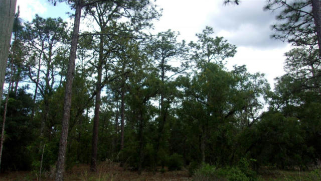 0 SW 63RD PLACE, DUNNELLON, FL 34431, photo 3 of 6