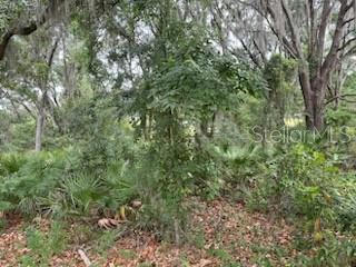 S JERRY SMITH RD, DOVER, FL 33527, photo 4 of 8