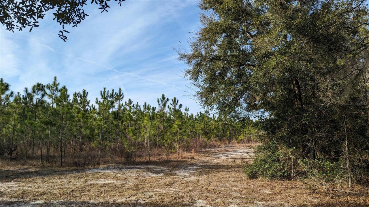 40 AC OFF DIXIE (NE 30TH ST.) HIGHWAY, HIGH SPRINGS, FL 32643, photo 1 of 4