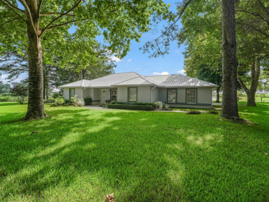 8585 NW 162ND CT, MORRISTON, FL 32668 - Image 1