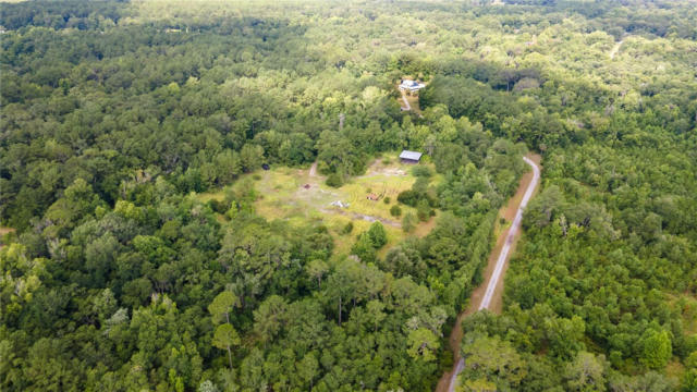 TBA SW 114TH LANE, MICANOPY, FL 32667, photo 3 of 12