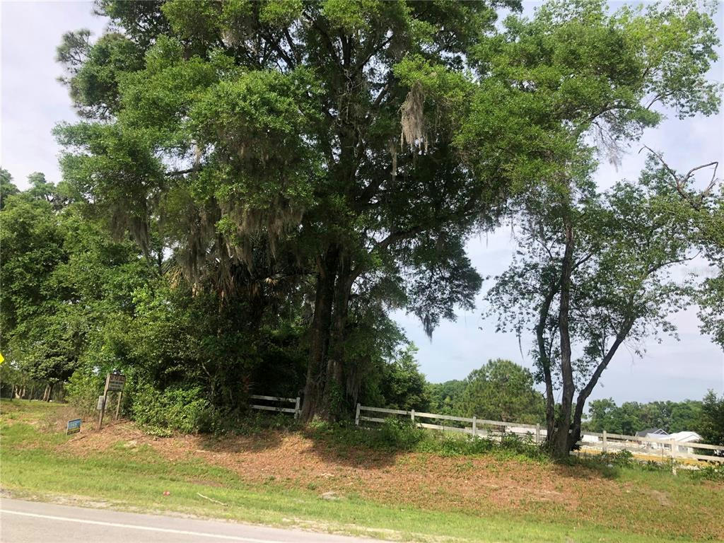 00 NW 142ND AVENUE, HIGH SPRINGS, FL 32643, photo 1 of 6