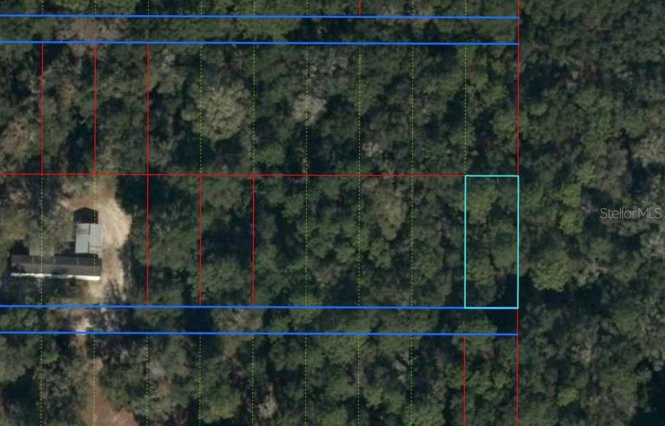 LOT 31 NW 55 PLACE, CHIEFLAND, FL 32626, photo 1