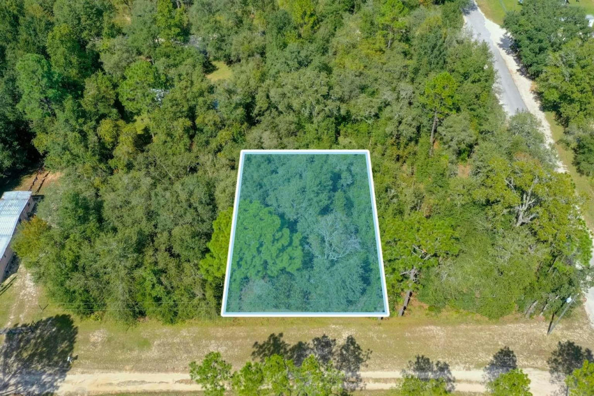 LOT #16 NE 63RD PLACE E, WILLISTON, FL 32696, photo 1 of 12