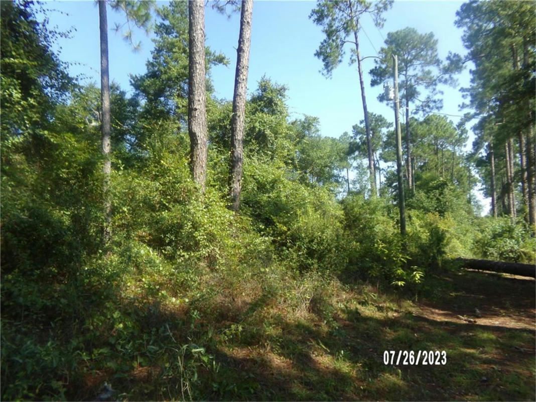 MOSSY OAKS 4TH ST, QUINCY, QUINCY, FL 32351, photo 1