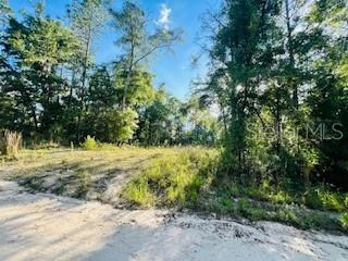 NW 18TH TER, BELL, FL 32619, photo 1 of 10