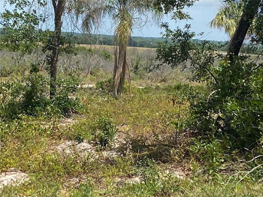 MOUNTAIN DR, BABSON PARK, FL 33827, photo 1 of 9