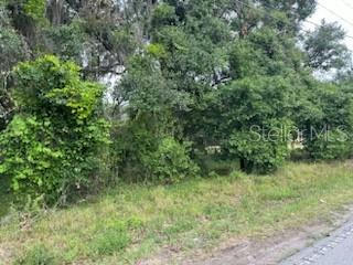 S JERRY SMITH RD, DOVER, FL 33527, photo 3 of 8