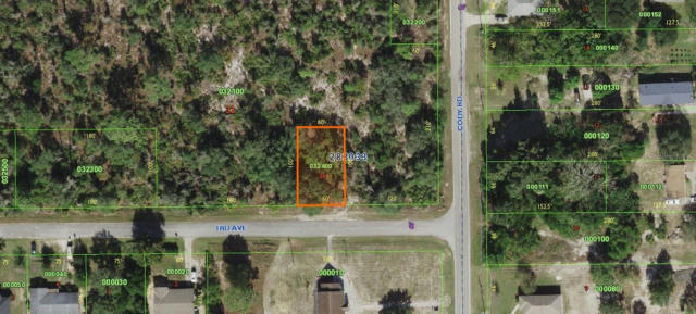 3RD AVE, BABSON PARK, FL 33827, photo 3 of 7