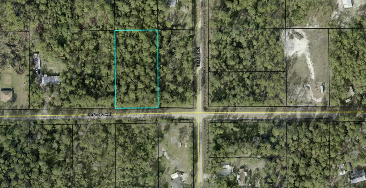 5512 NUTWOOD AVE, BUNNELL, FL 32110, photo 1 of 6