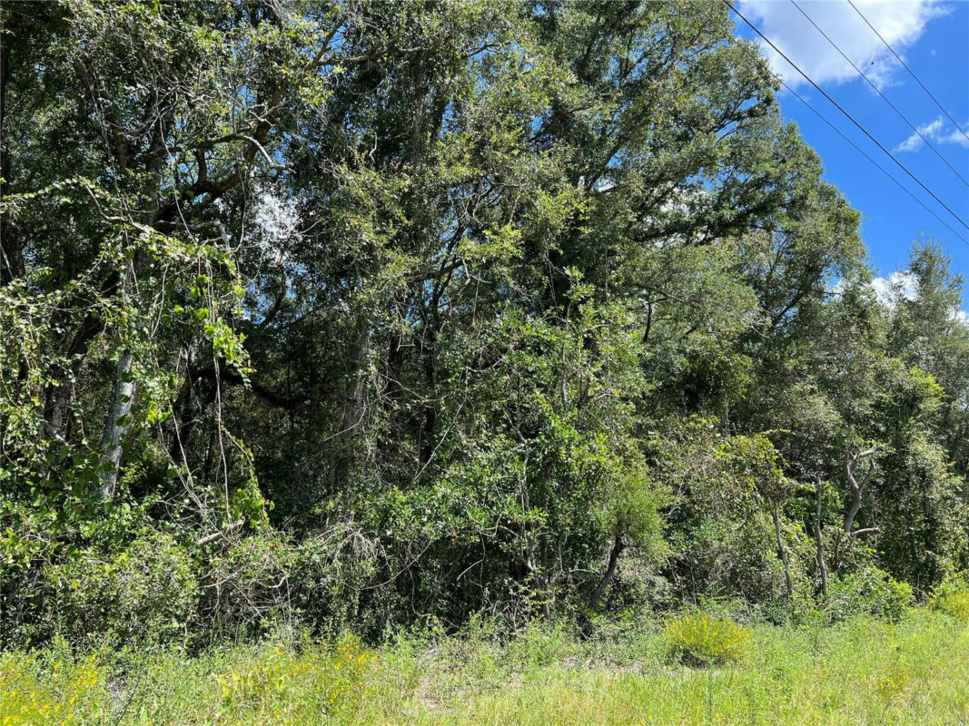 NW US 19 HWY, CHIEFLAND, FL 32626, photo 1 of 4