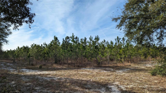 40 AC OFF DIXIE (NE 30TH ST.) HIGHWAY, HIGH SPRINGS, FL 32643, photo 2 of 4