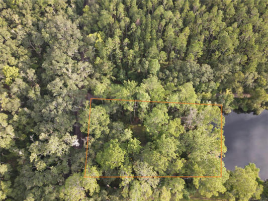 TBD NW 5TH STREET, MICANOPY, FL 32667 - Image 1