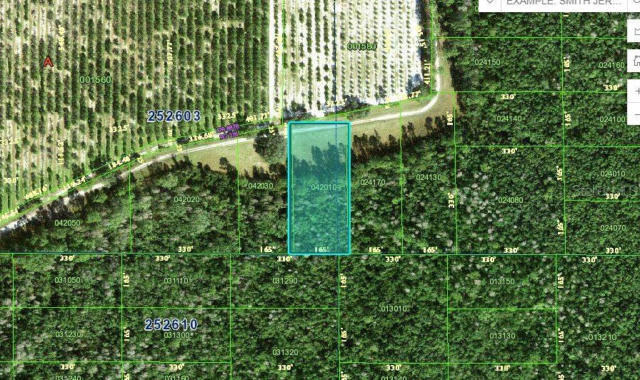 DEEN STILL RD, POLK CITY, FL 33868 - Image 1