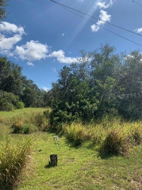 MOUNTAIN DR, BABSON PARK, FL 33827, photo 1 of 5