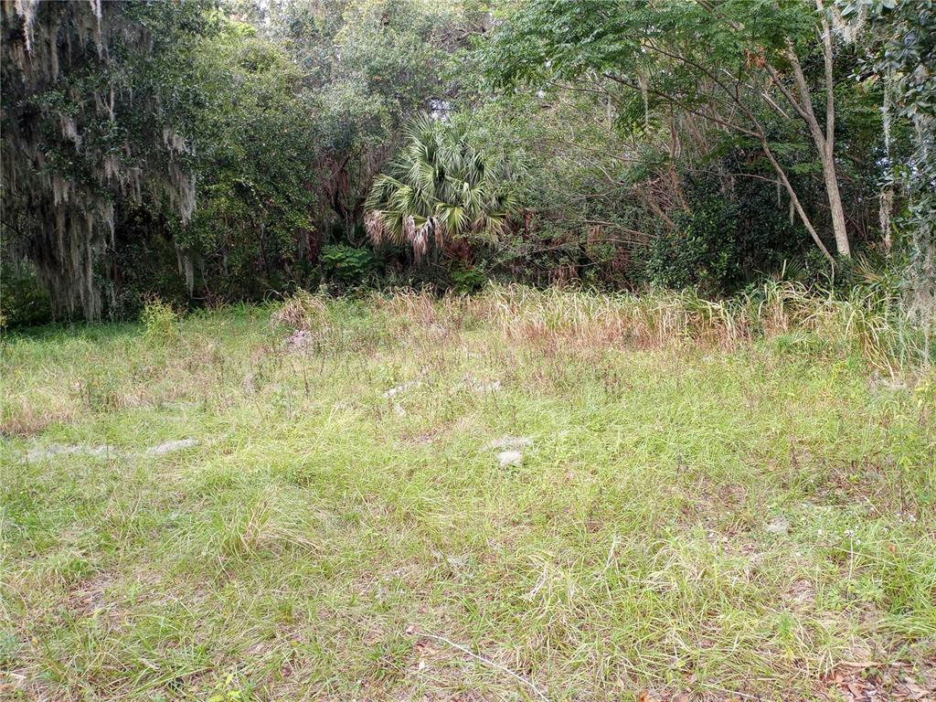 CARVER ST, MIMS, FL 32754, photo 1 of 3