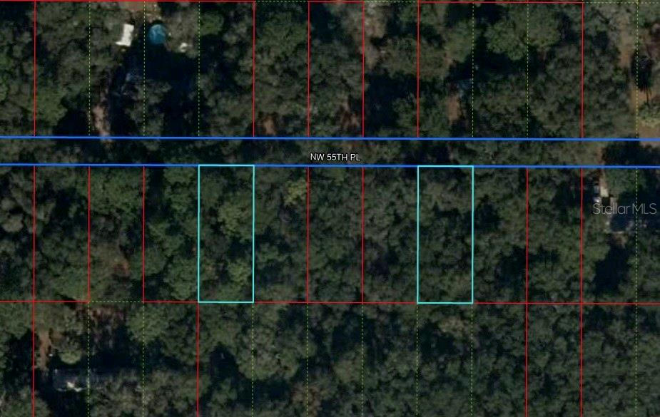 LOT 15 & 19 NW 55 PLACE, CHIEFLAND, FL 32626, photo 1