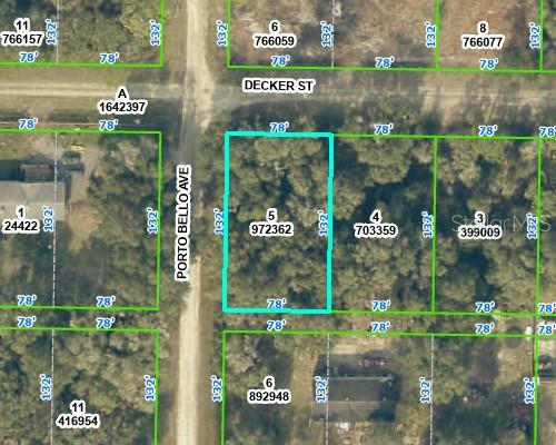 0 DECKER STREET # 5, WEBSTER, FL 33597 - Image 1