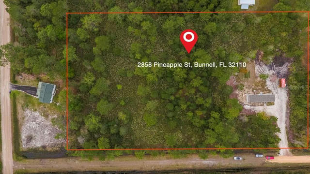 2858 PINEAPPLE ST, BUNNELL, FL 32110, photo 3 of 33